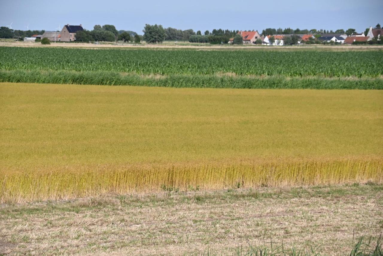 Apartamento Vakantie Apppartement De Haan Park Zeepolder Exterior foto